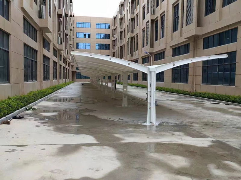 Ĥ�ṹͣ����