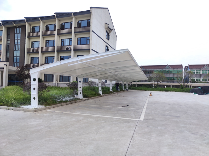 Ĥ�ṹͣ����