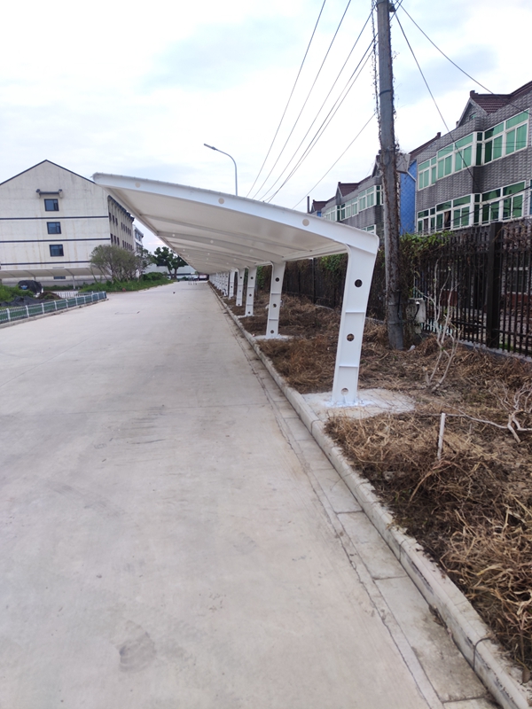 Ĥ�ṹͣ����