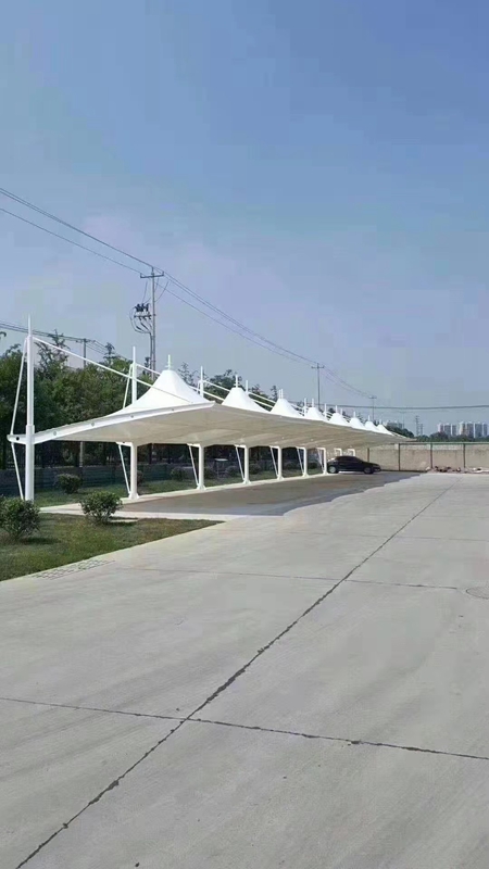 Ĥ�ṹͣ����