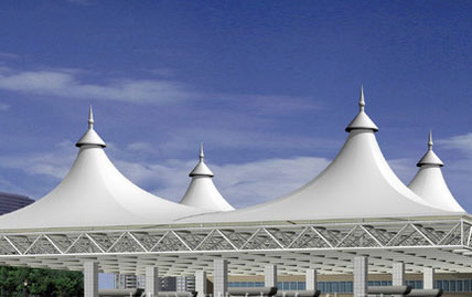 ��ҵ��ʩĤ�ṹ